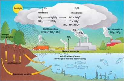 Environmental Effects - Acid Precipitation